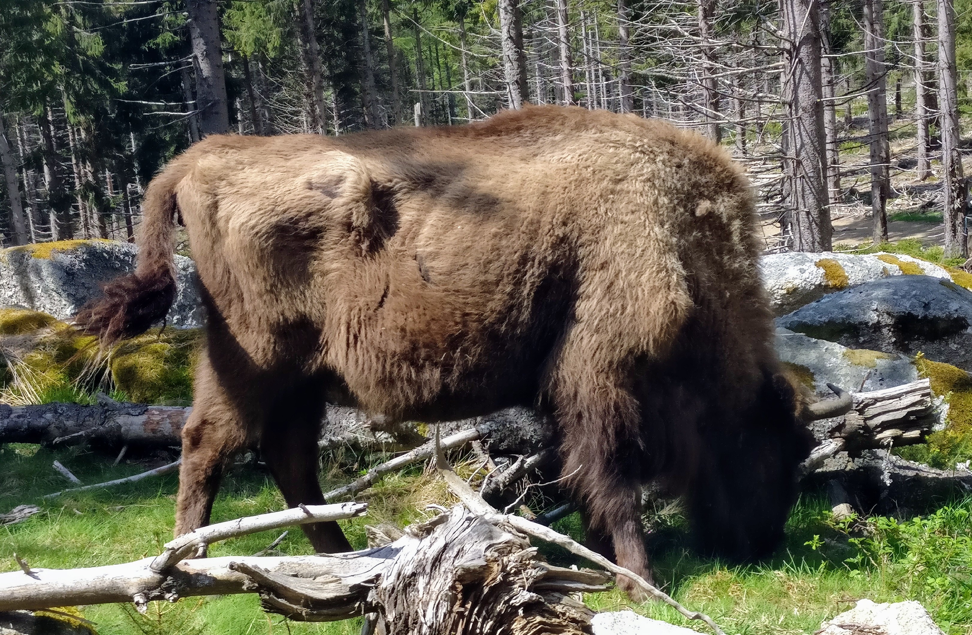 Photo n° 6 de l'avis de Nadège.A fait le 20/05/2018 à 16:45