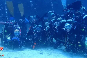 龍洞85 潛水教學訓練中心 Mares Diving Center image