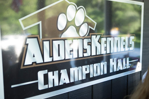 Business Management Consultant «Better Business Bureau of Chicago and Northern Illinois», reviews and photos