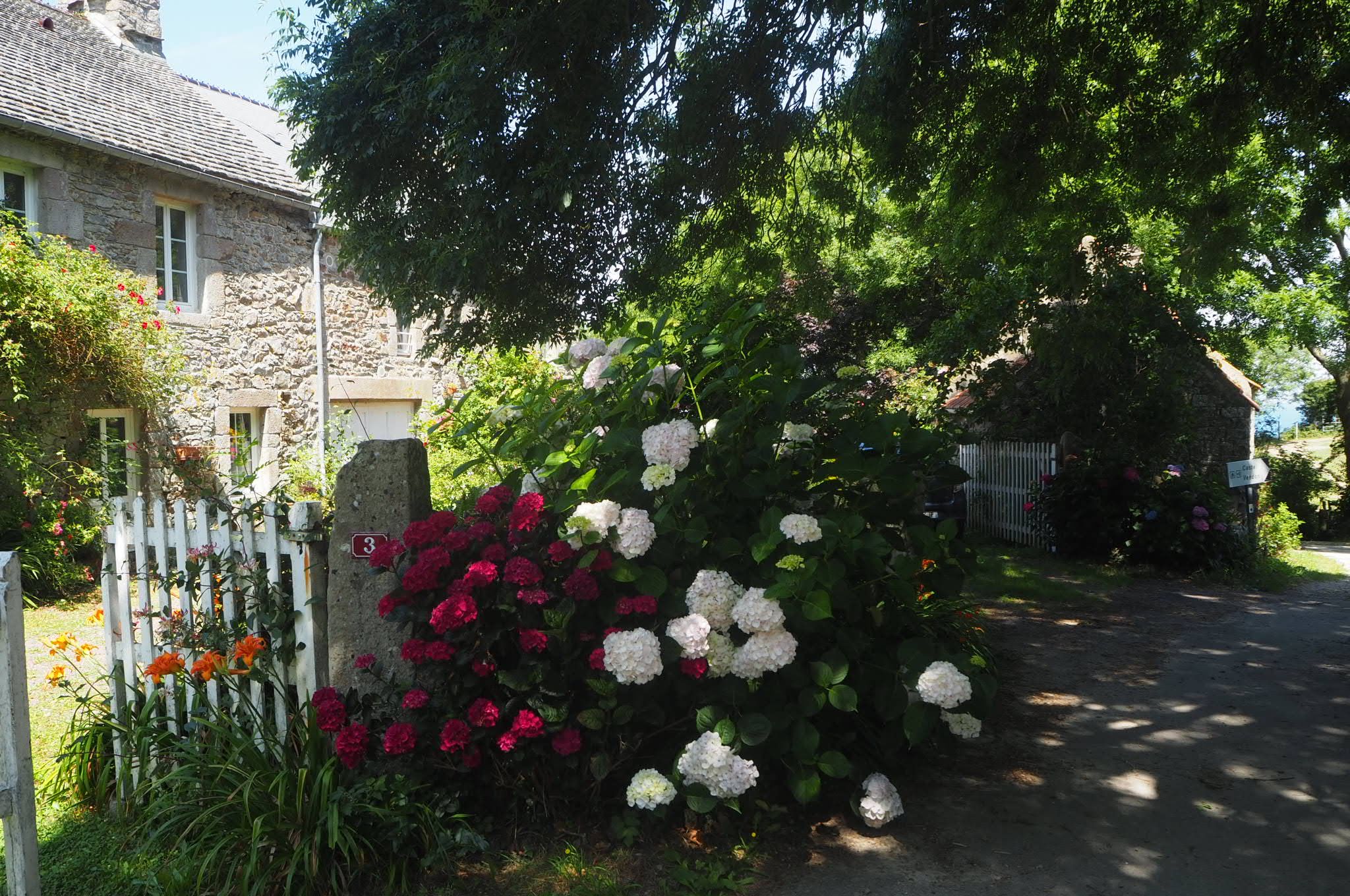 Photo n° 3 de l'avis de Hervé.O fait le 30/07/2019 à 06:37
