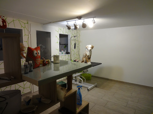 Tierfriseur Hundesalon - Salon Doggy Style Paderborn