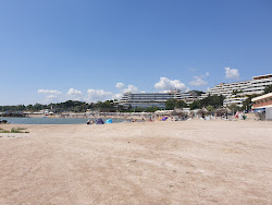 Poseidon beach'in fotoğrafı - rahatlamayı sevenler arasında popüler bir yer