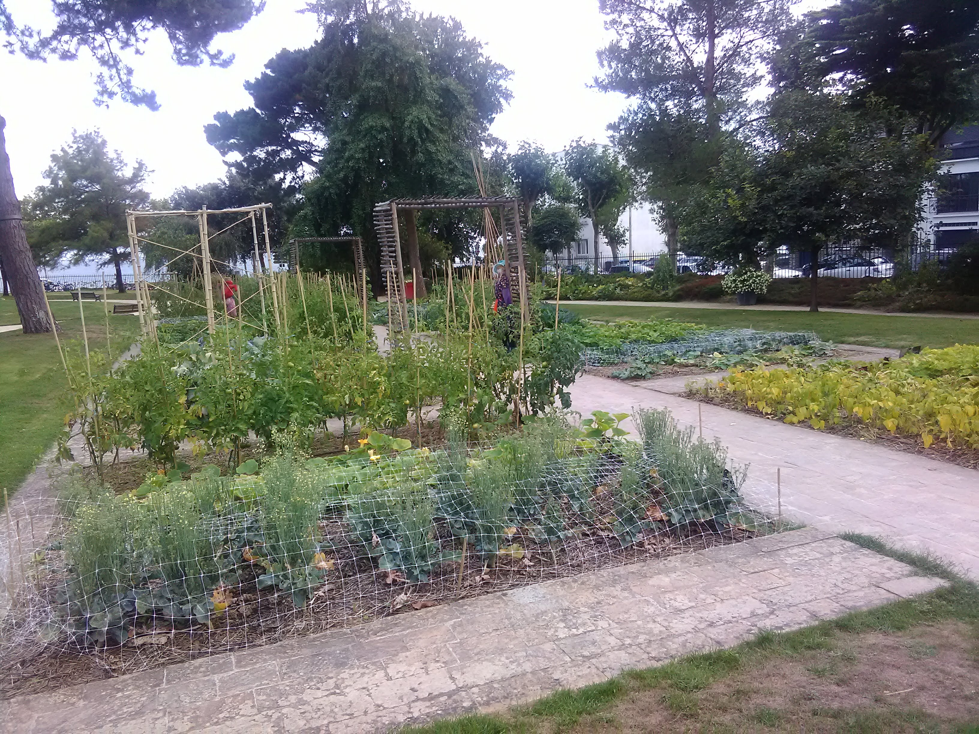 Photo n° 2 de l'avis de PL.3 fait le 26/08/2019 à 13:02