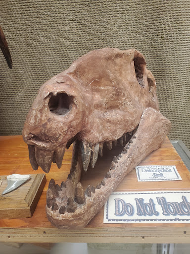 Museum «Creation Evidence Museum», reviews and photos, 3102 FM 205, Glen Rose, TX 76043, USA