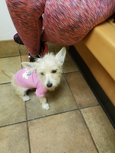 Pet Supply Store «PetSmart», reviews and photos, 5 Main St, East Hartford, CT 06118, USA