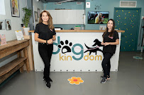 Dog Kingdom Miami - Photo 3 - Car repair in Miami, FL, Miami