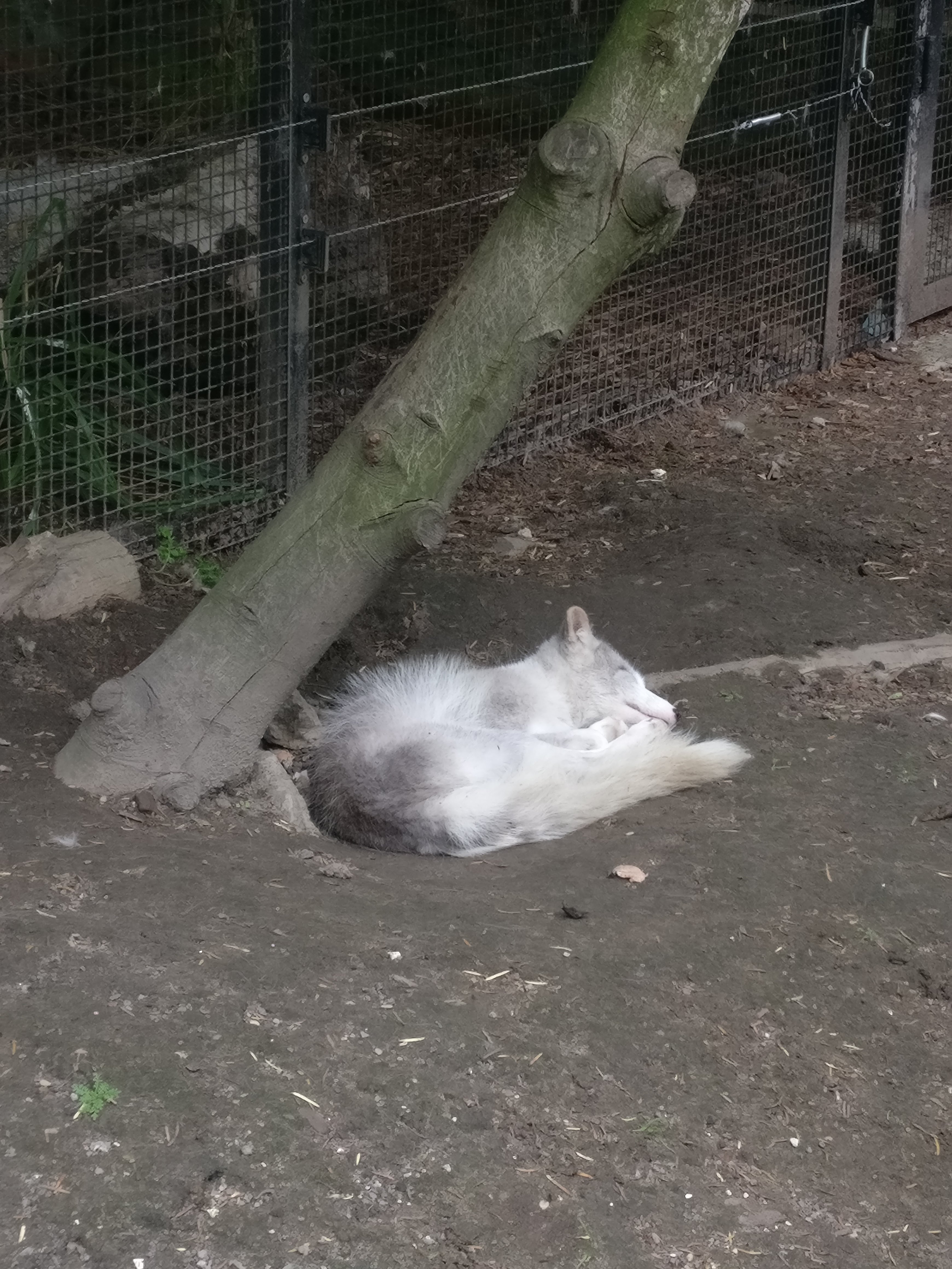 Photo n° 9 de l'avis de Alexia.o fait le 13/08/2018 à 09:32