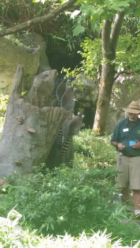 Zoo «Zoomazium», reviews and photos, 601 N 59th St, Seattle, WA 98103, USA