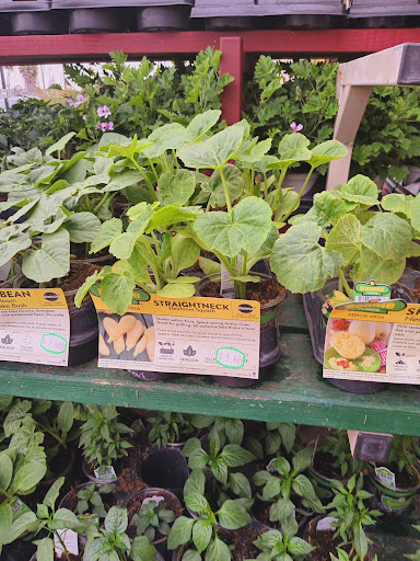 The Home Depot image