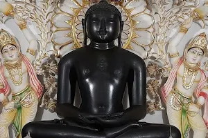 Shri 1008 Munisuvratnath Digambar Jain Atishay Kshetra SwastiDham image