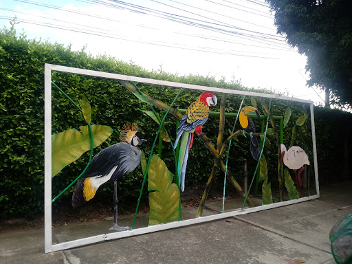 Lugares de venta de aves en Bucaramanga