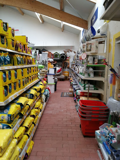 Patis Lebensmittel bowl unter Waldmohr, 