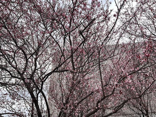 Department Store «JCPenney», reviews and photos, 10300 Little Patuxent Pkwy, Columbia, MD 21044, USA