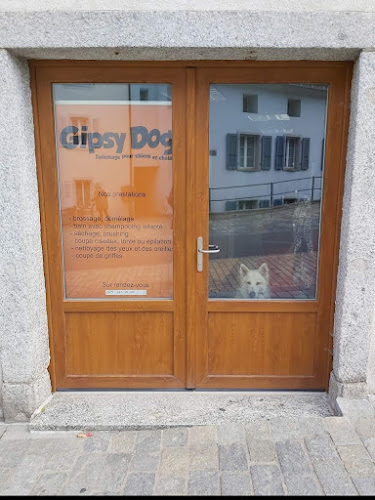 Gipsy dog