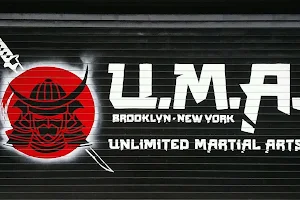 Unlimited Martial Arts NYC image