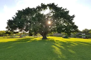 Fig Tree Park image