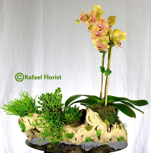 Florist «Rafael Florist», reviews and photos, 891 4th St, San Rafael, CA 94901, USA