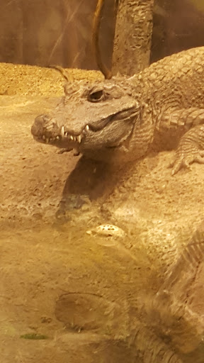 Zoo «Tropic World», reviews and photos, 3300 Golf Rd, Brookfield, IL 60513, USA