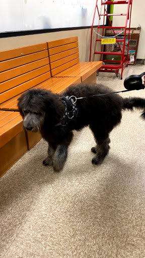 Pet Supply Store «PetSmart», reviews and photos, 971 Norland Ave, Chambersburg, PA 17201, USA