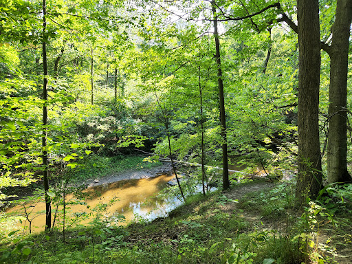 Nature Preserve «For-Mar Nature Preserve & Arboretum», reviews and photos, 2142 N Genesee Rd, Burton, MI 48509, USA