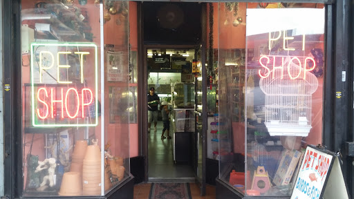 Pet Store «J & J Pet Shop», reviews and photos, 715 E Tremont Ave # 1, Bronx, NY 10457, USA