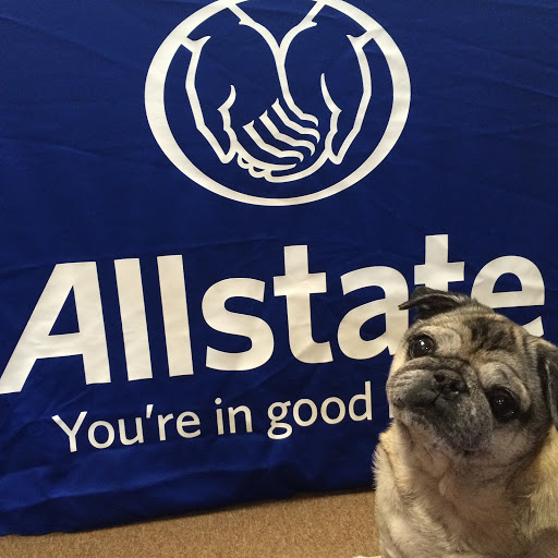 Insurance Agency «Allstate Insurance Agent: Tracie Bibb», reviews and photos