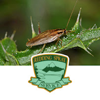 Redding Spray - Photo 9 - Car repair in , Redding