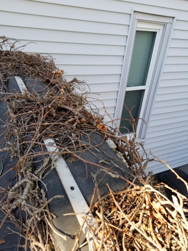 Roofing Contractor «Branon & Son Flat Roofing and Construction Co.», reviews and photos, 19 Auburn St, Charlestown, MA 02129, USA