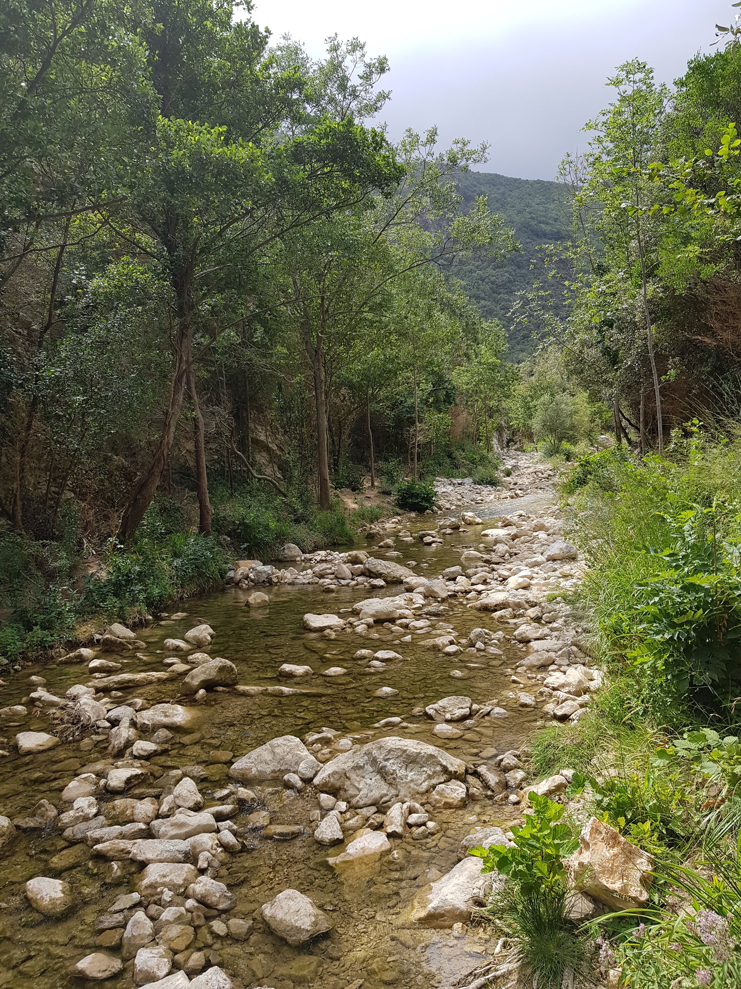 Photo n° 5 de l'avis de Stéphane.A fait le 21/08/2019 à 07:21