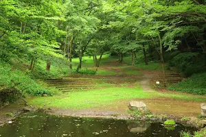 Shiroyama Park image