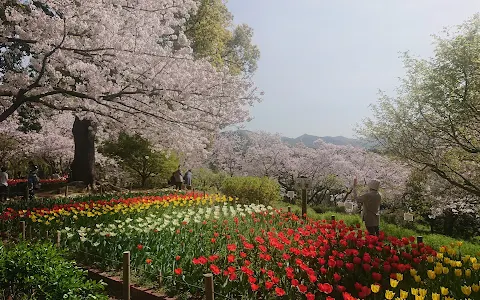 Kagawaken Kimbuchi Forest Park image