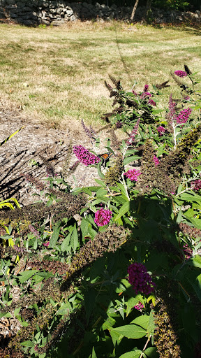 Winery «Jerram Winery», reviews and photos, 535 Town Hill Rd, New Hartford, CT 06057, USA