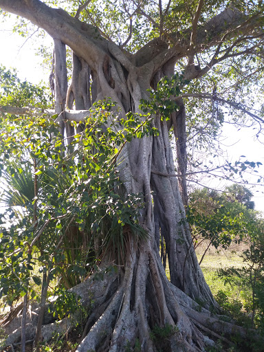Water Park «Splash Adventure Water Park», reviews and photos, Quiet Waters Park Dr, Deerfield Beach, FL 33442, USA