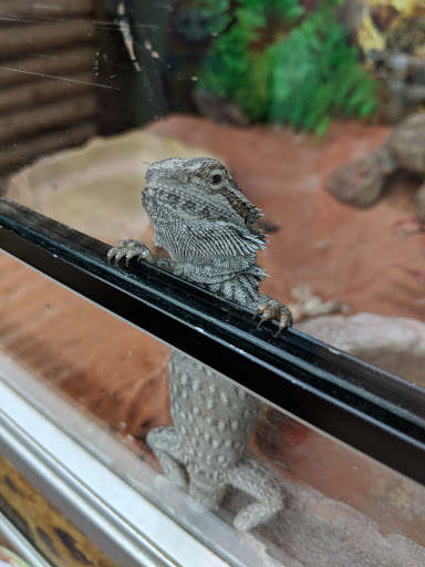 Pet Store «Pets Plus - Quakertown», reviews and photos, 117 S West End Blvd, Quakertown, PA 18951, USA