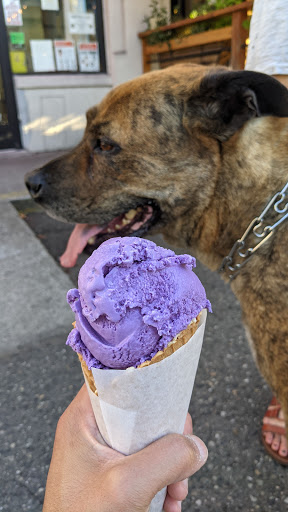 Ice Cream Shop «Full Tilt Columbia City», reviews and photos, 5041 Rainier Ave S, Seattle, WA 98118, USA