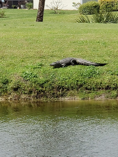 Golf Club «Meadowood Golf and Tennis Club», reviews and photos, 9425 Meadowood Dr, Fort Pierce, FL 34951, USA