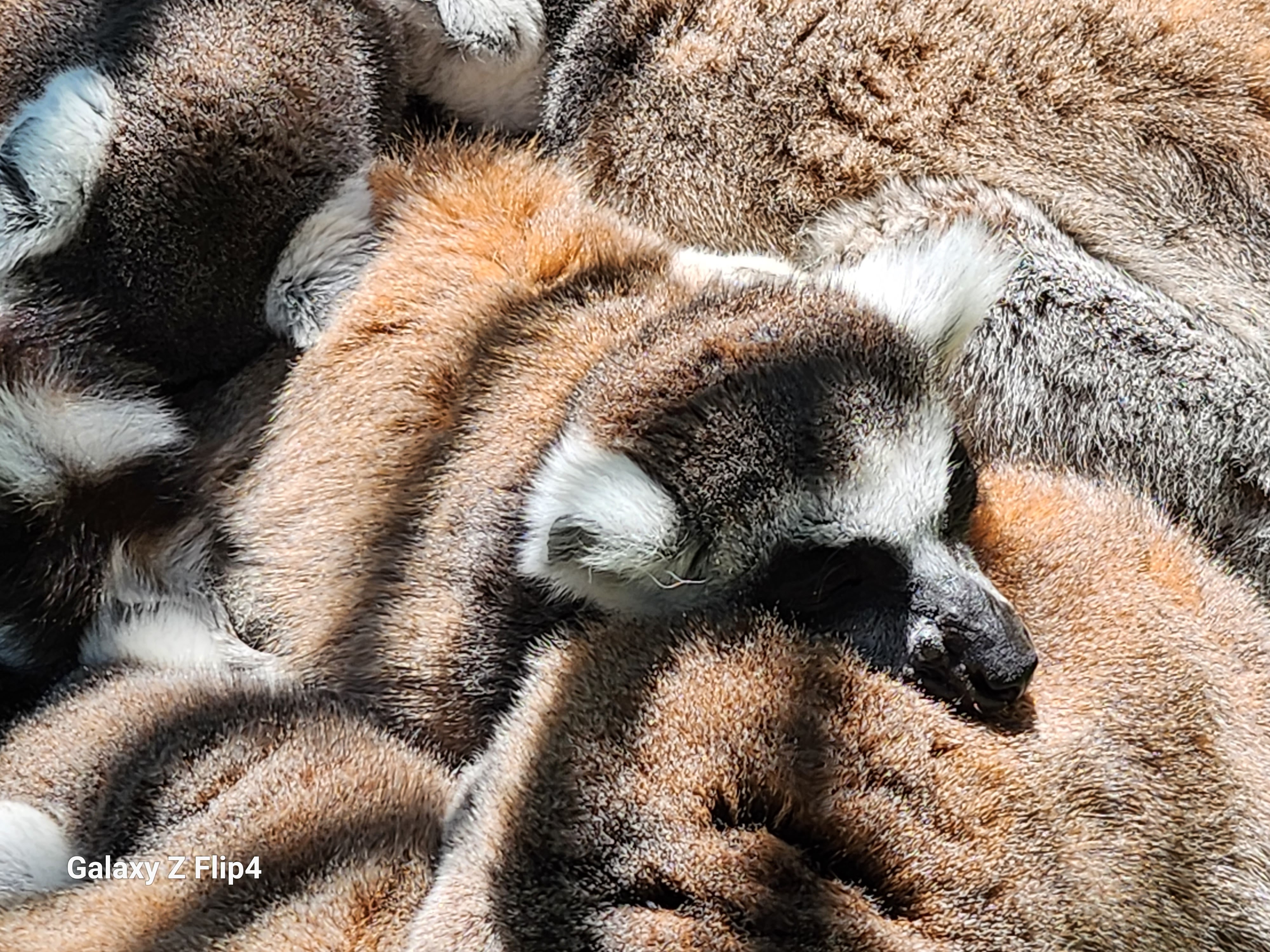 Photo n° 13 de l'avis de pascal.h fait le 02/05/2023 à 19:13