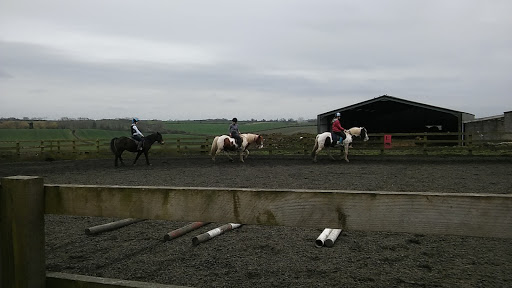 Lings Lane Riding Stables Nottingham