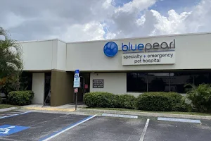 BluePearl Pet Hospital image