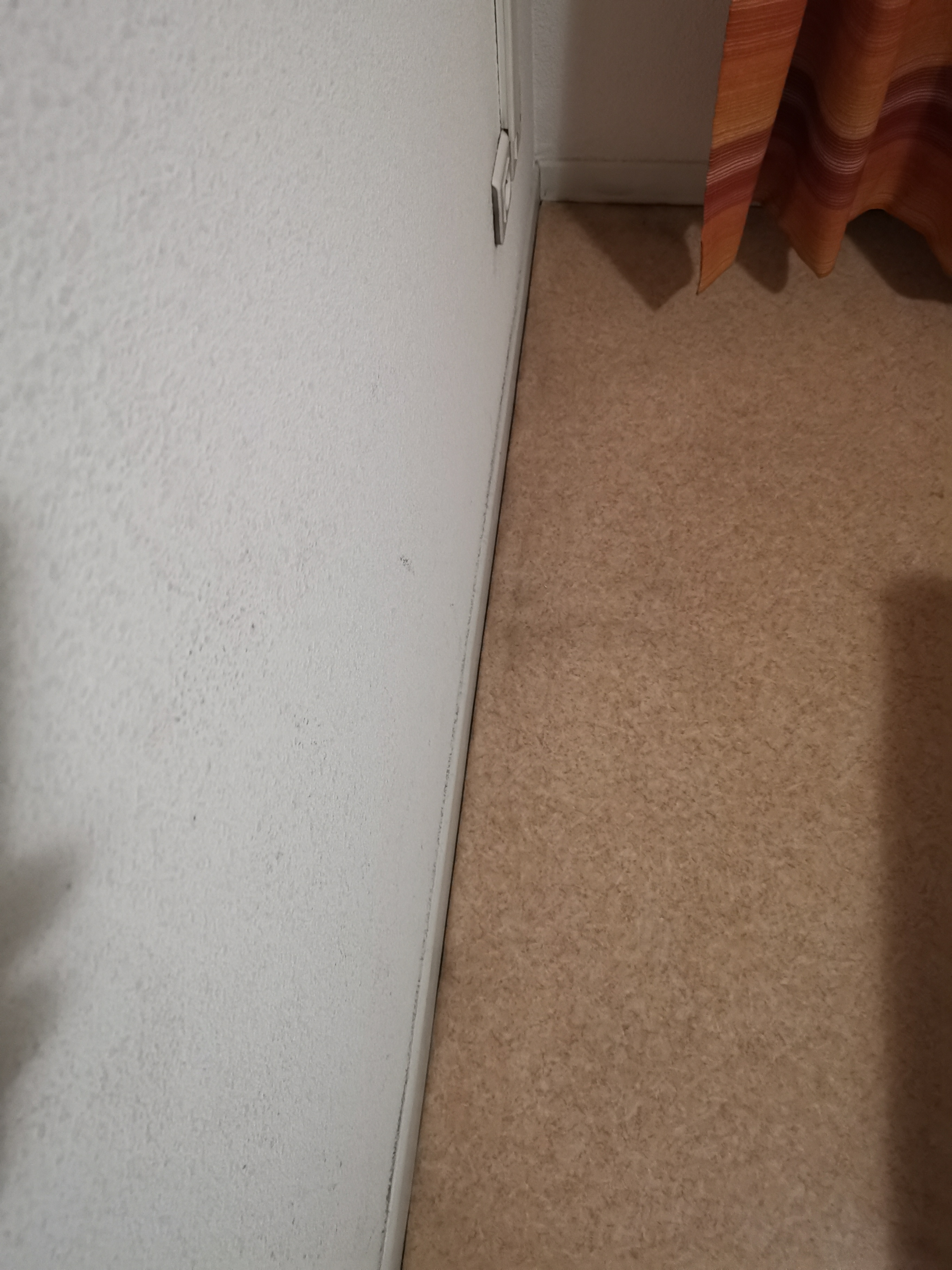 Photo n° 6 de l'avis de Yoann.e fait le 07/03/2019 à 09:48