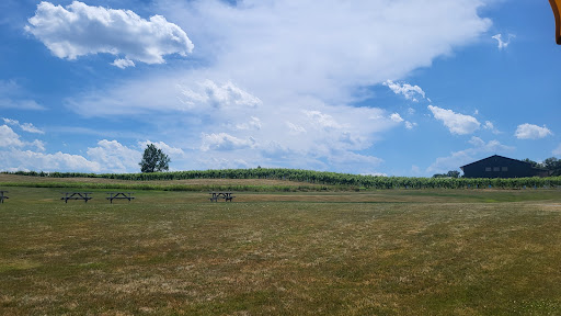 Winery «Sheldrake Point Winery», reviews and photos, 7448 County Rd 153, Ovid, NY 14521, USA
