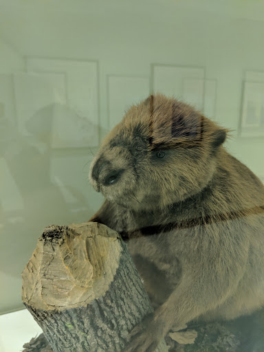 Museum «New Jersey State Museum», reviews and photos, 205 W State St, Trenton, NJ 08608, USA