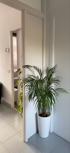 Maria José Dionisio Psicólogía en Caldes de Montbui, Barcelona