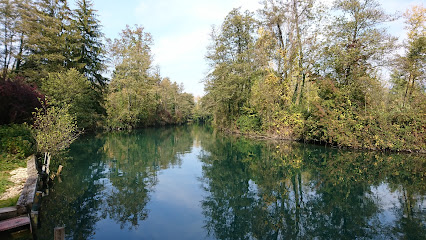Canal De Savière