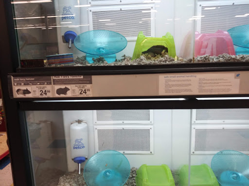 Pet Supply Store «Petco Animal Supplies», reviews and photos, 2765 Santa Rosa Ave, Santa Rosa, CA 95407, USA