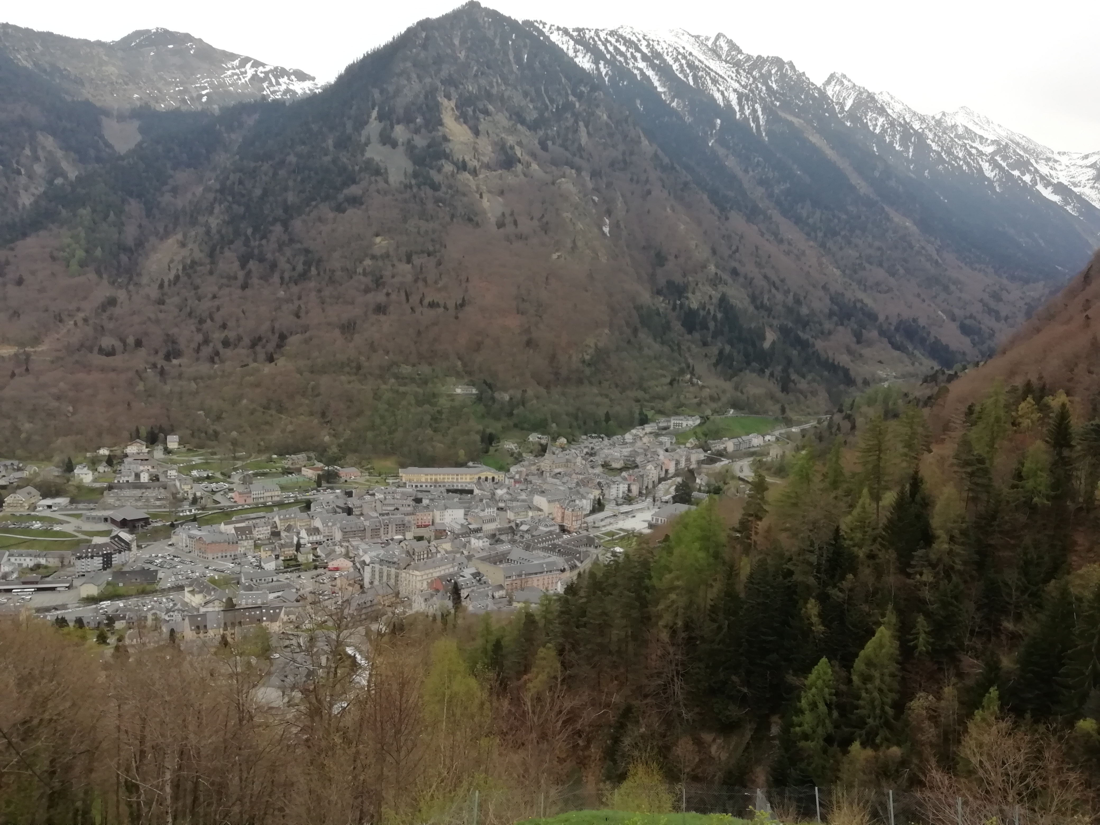 Photo n° 2 de l'avis de C..a fait le 24/04/2019 à 14:26