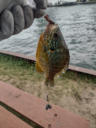 Park «Ruedisale Point Park», reviews and photos, 50400 Ruedisale St, New Baltimore, MI 48047, USA