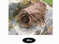 Wood's Rooter Service in Rhode Island - Photo 3 - Car repair in , Providence