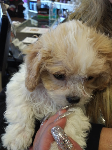 Pet Supply Store «Pet Ranch», reviews and photos, 3823 E 120th Ave, Denver, CO 80233, USA