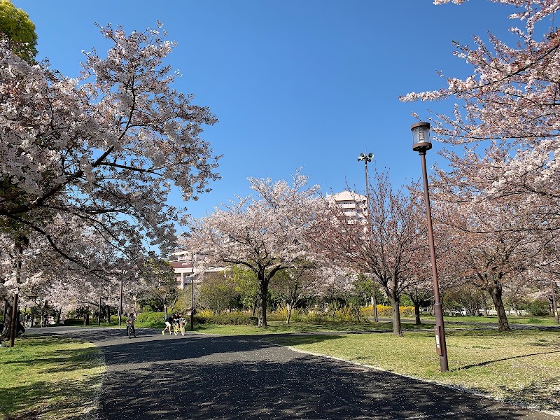 大島小松川公園 自由の広場